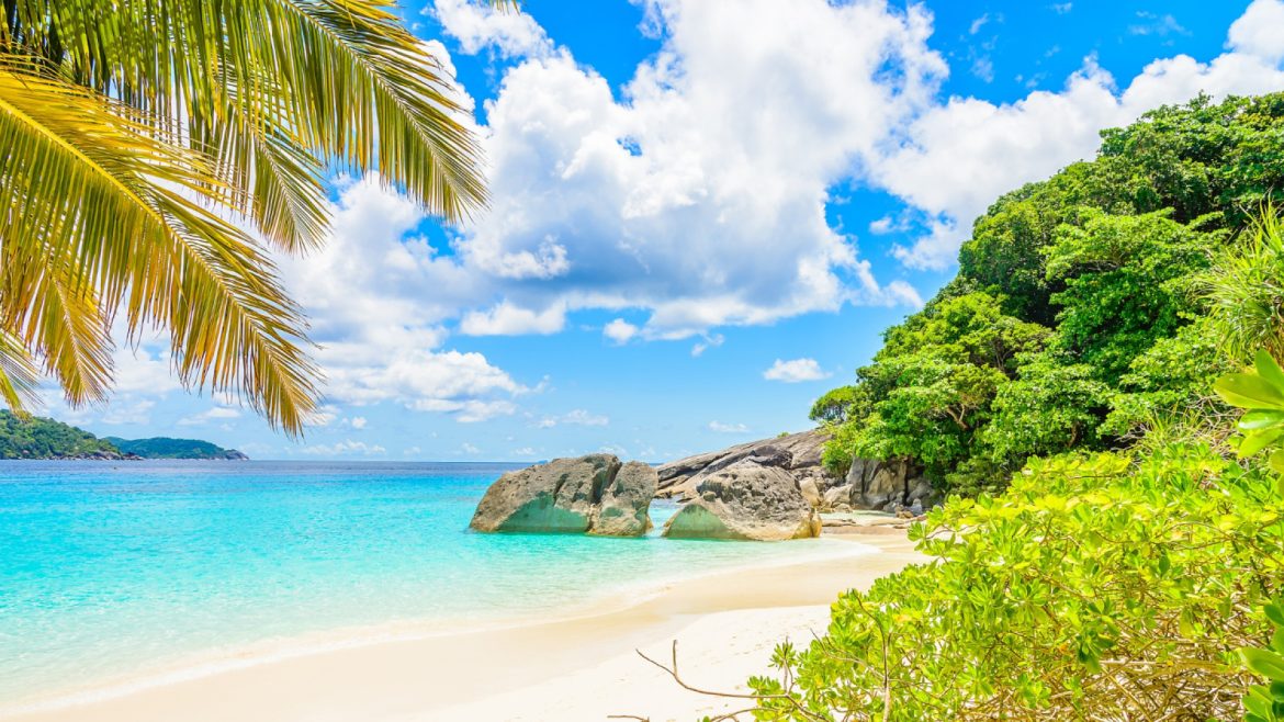 Quand partir à Tahiti : choisir entre printemps, été, automne et hiver
