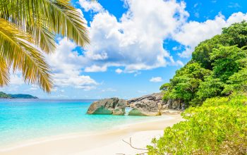 Quand partir à Tahiti : choisir entre printemps, été, automne et hiver