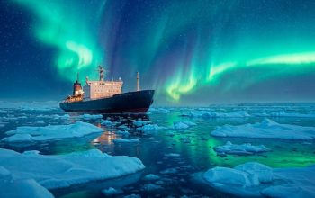 Explorer l’Antarctique en famille : des idées d'activités ludiques pour petits et grands