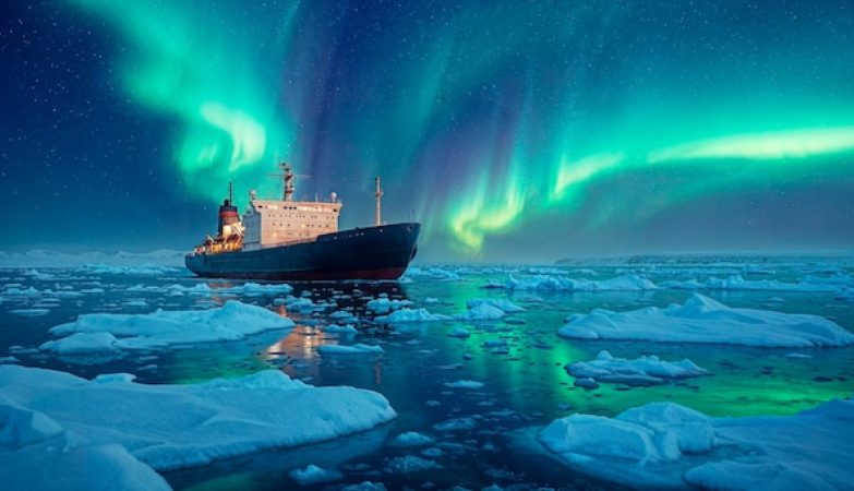 Explorer l’Antarctique en famille : des idées d'activités ludiques pour petits et grands